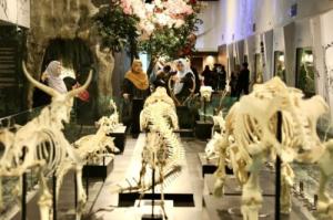 翻新后魅力大增！　苏丹阿南沙博物馆半年迎逾10万游客