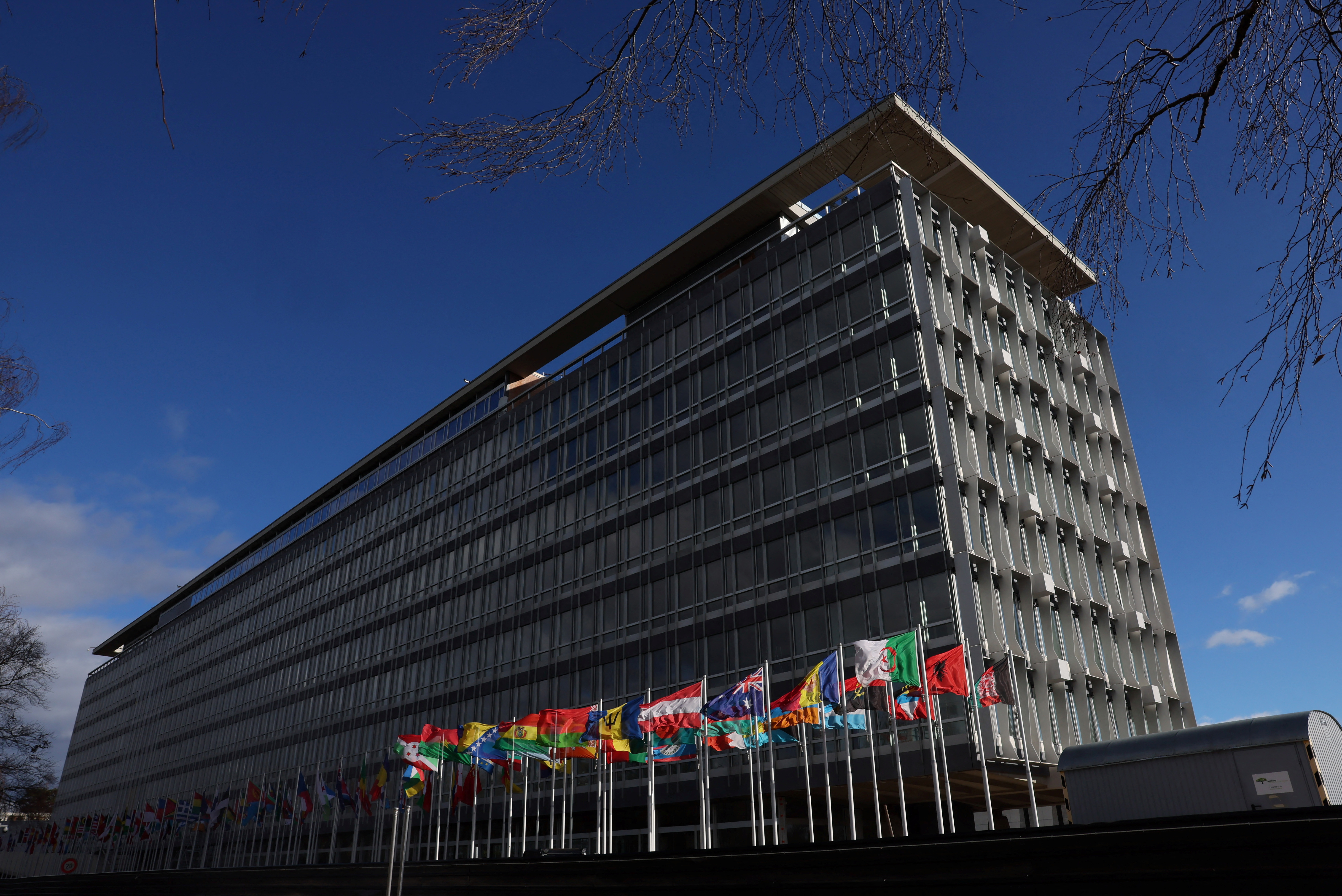 WHO proposes budget cut after US exit, defends its work