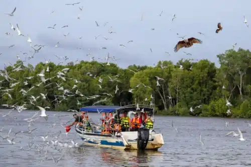 旅游部拟上修2026访马游客目标 张庆信:云顶收通行费保障公平