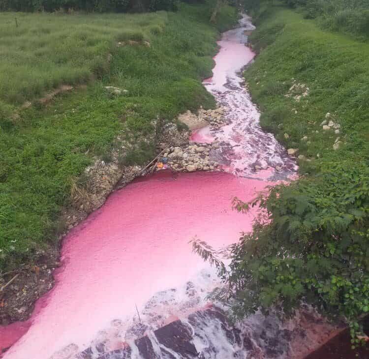 சிலாங்கூர் ஆறுகளில் தூய்மைக்கேடு- கடந்தாண்டு 80 சம்பவங்கள்