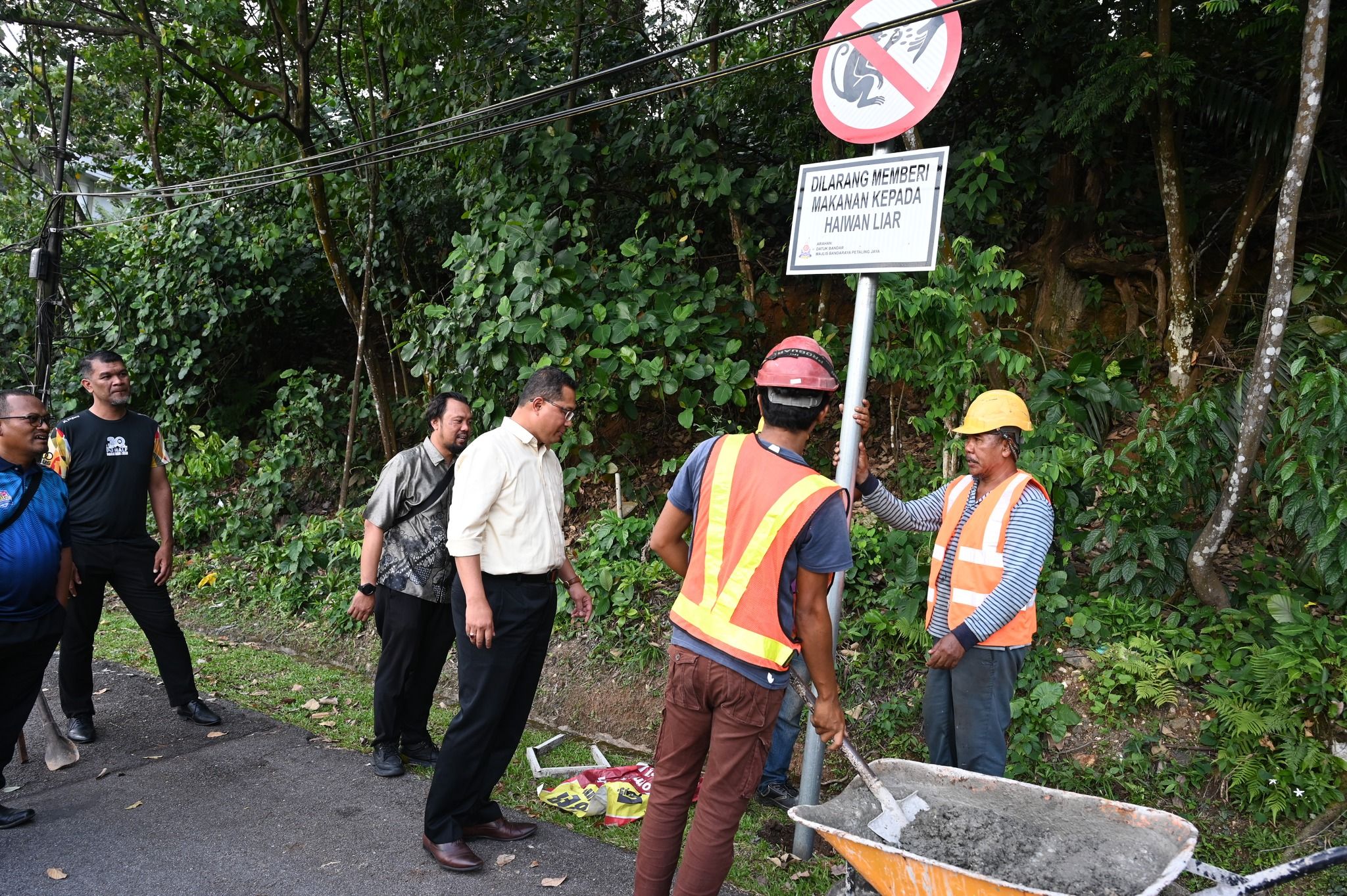 武吉加星区装告示牌禁喂猴 灵市厅：减疾病传播保平安