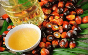 Impact of US market restrictions on Malaysian palm oil expected to be minimal