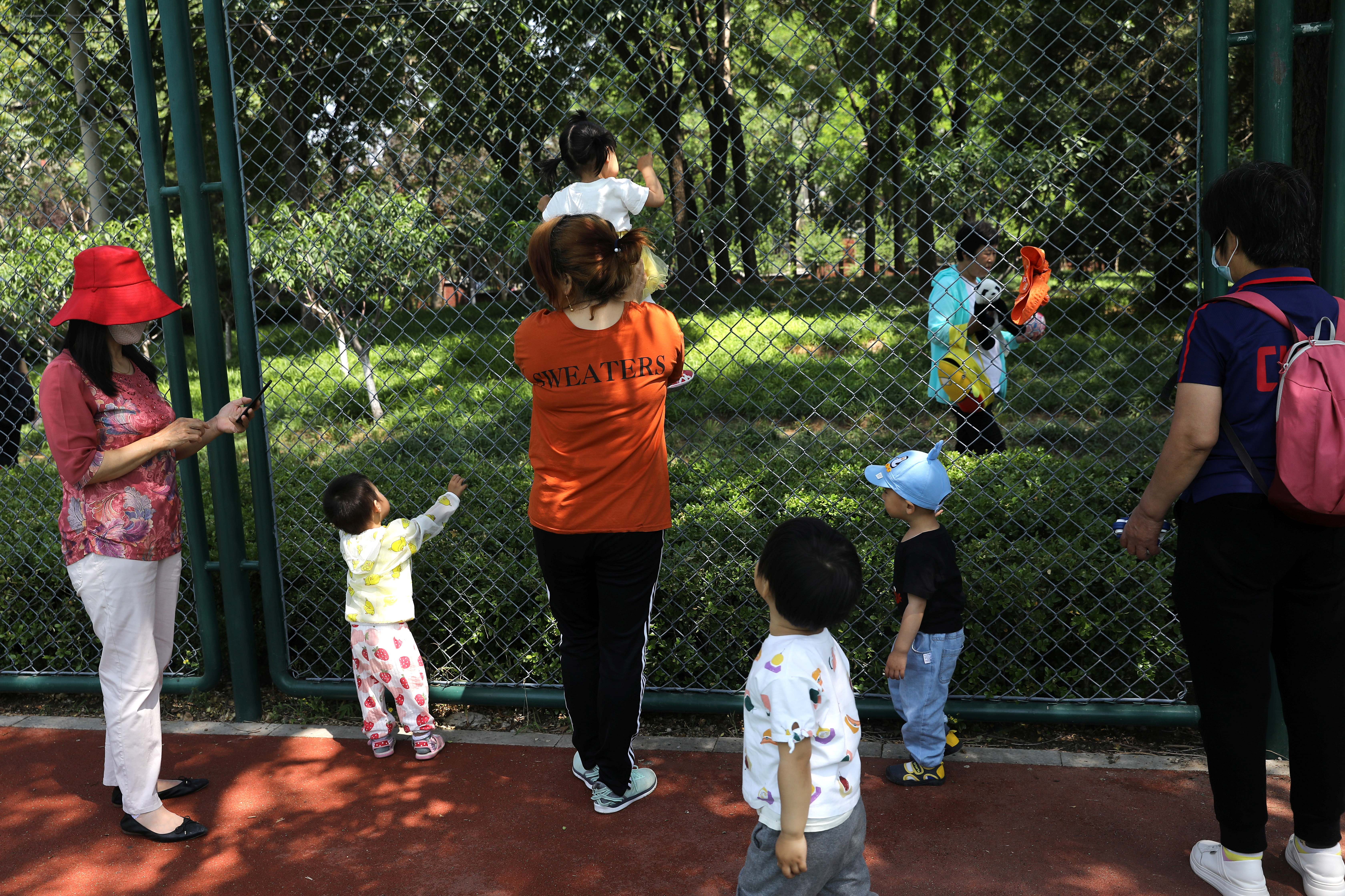 China adviser pushes to lower legal marriage age to 18 to boost birthrate