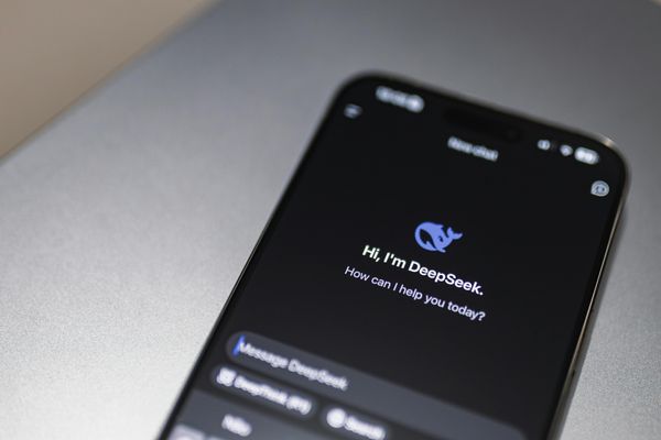 政府研究DeepSeek影响 哥宾星:确保适应AI趋势