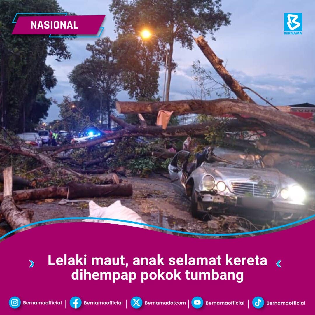 Lelaki maut, anak selamat kereta dihempap pokok tumbang
