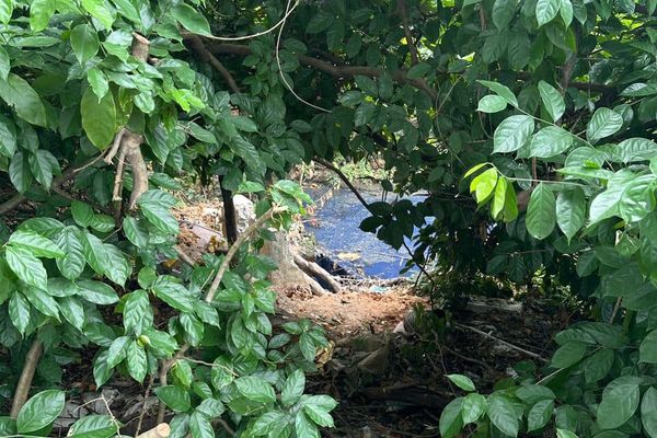 லுவாஸின் துரித நடவடிக்கையால் நீர்த் தூய்மைக்கேடு அபாயம் தவிர்க்கப்பட்டது