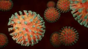 Two Covid-19 deaths reported so far 