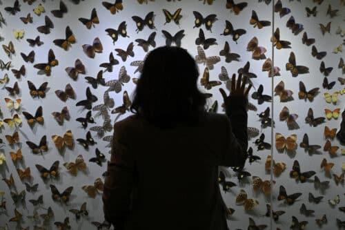 Manfaatkan cuti sekolah sertai program Cuti Sekolah @MSAS