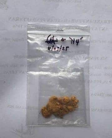 监守自盗偷工厂黄金废料转售  女工与金店老板双双落网