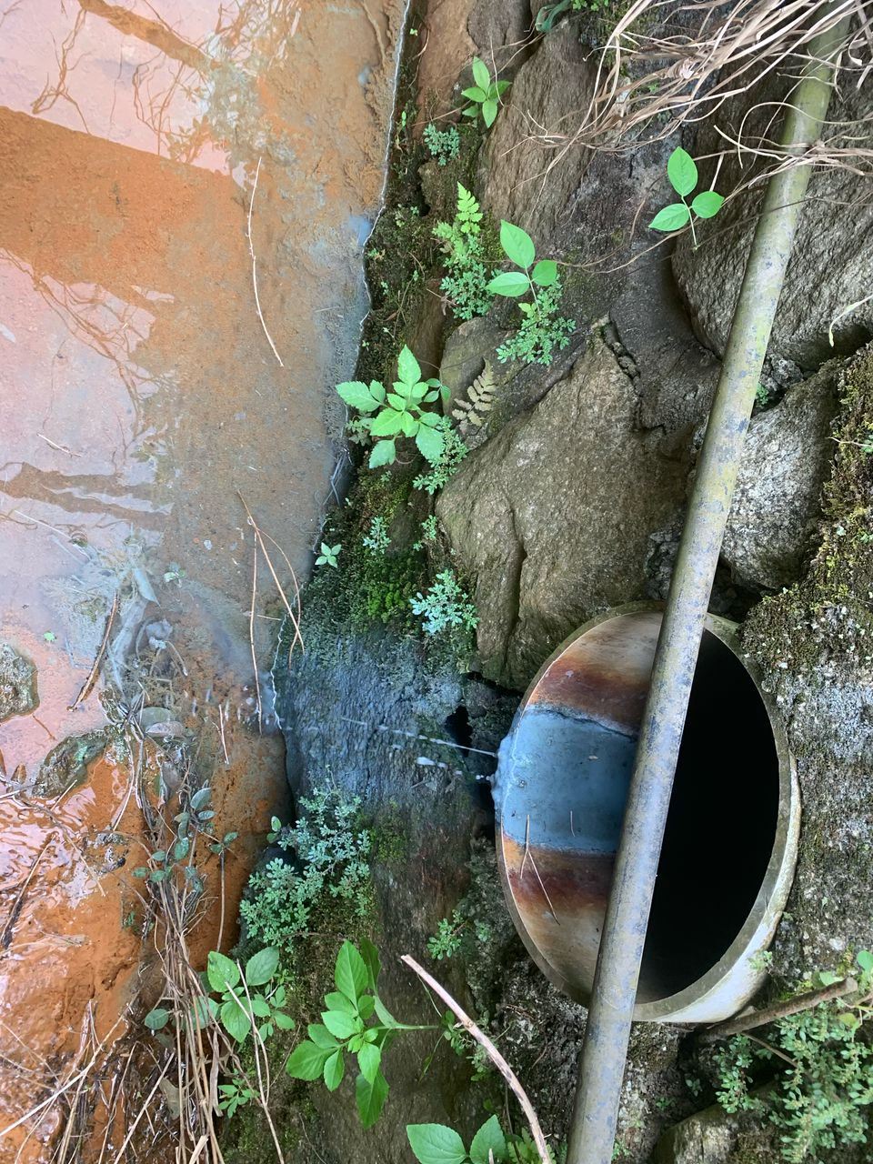Luas detects, halts potential river pollution in Sg Buloh