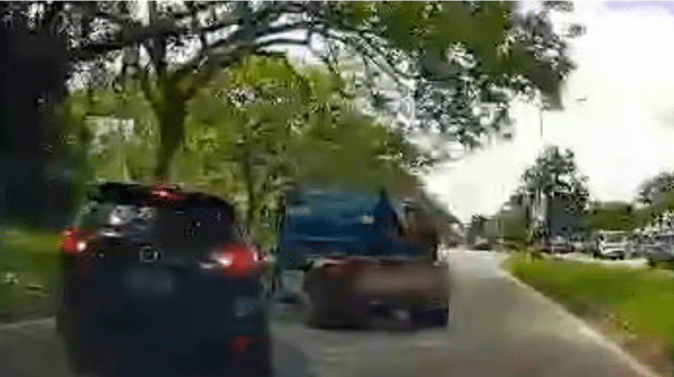 年迈夫妇涉拖车撞后逃案  企图谋杀罪名被扣查