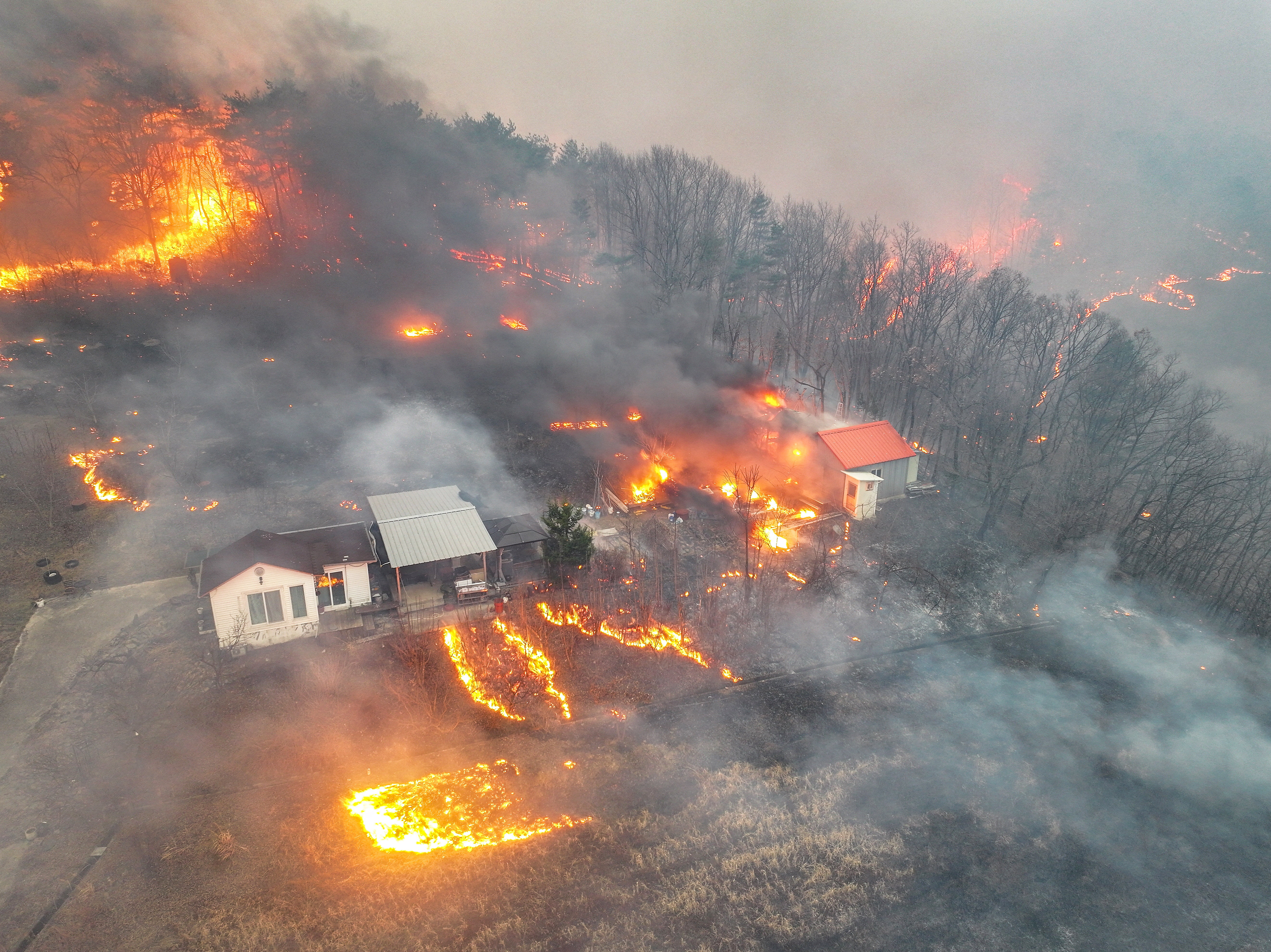 South Korean wildfires spread, three more disaster zones named