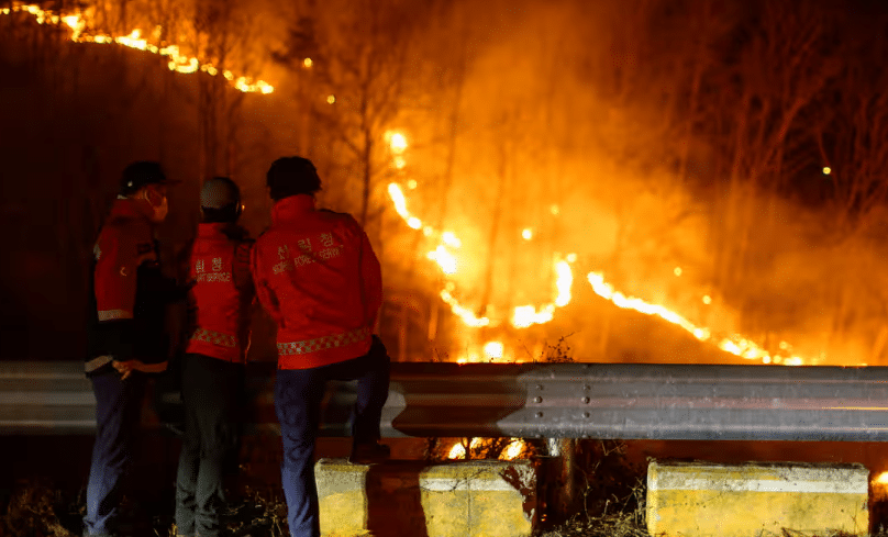 தென் கொரியாவில் மோசமான காட்டுத் தீ - 24 பேர் உயிரிழப்பு