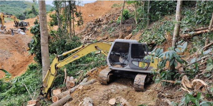 警方柔佛捕3非法伐木者  起获市值近100万树桐