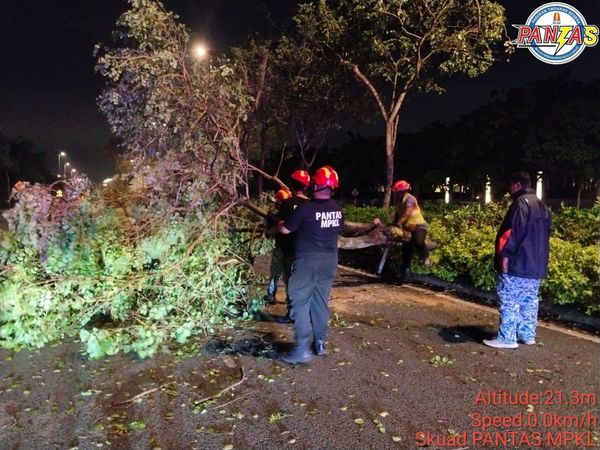 昨午暴雨狂风多处树倒 瓜冷市会马不停蹄清78大树