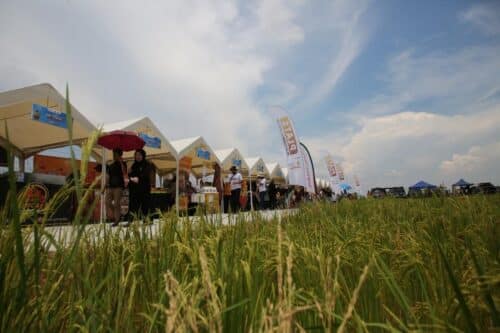 雪州旅游年掀热潮　游客人数突破410万