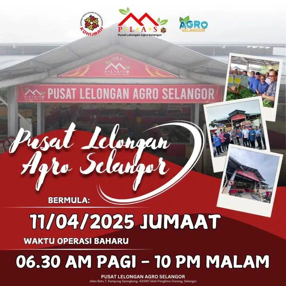 雪兰莪农业拍卖中今天大促销 一条鱼50仙