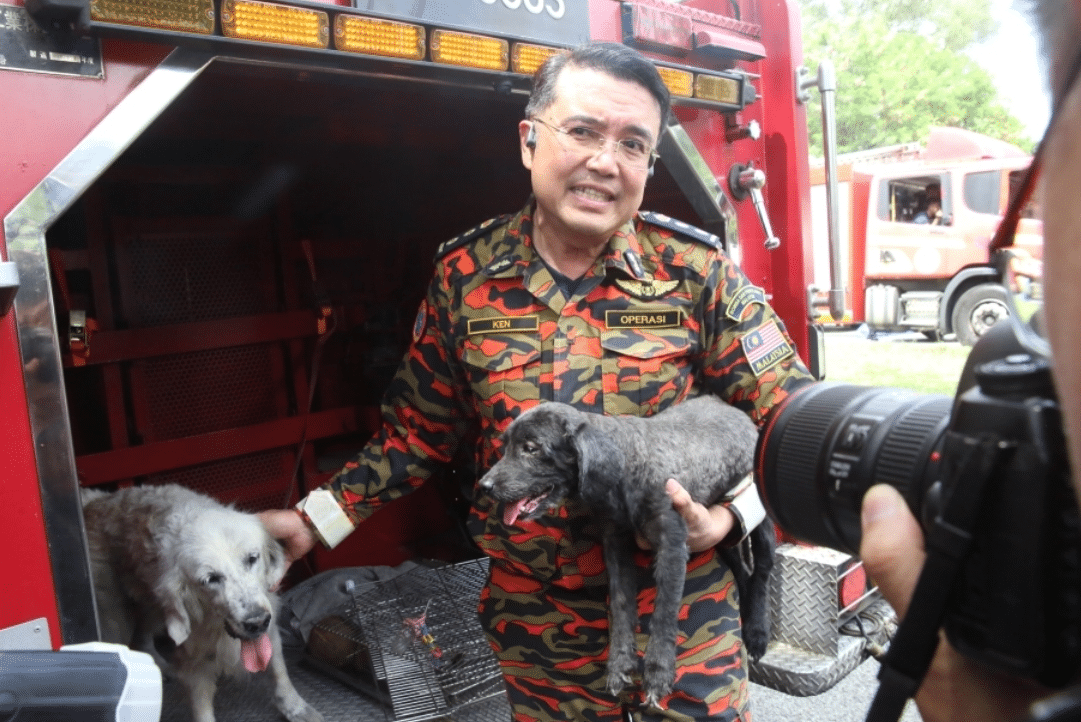 புத்ரா ஹைட்ஸ் தீ விபத்திலிருந்து இரண்டு நாய்கள் மீட்பு