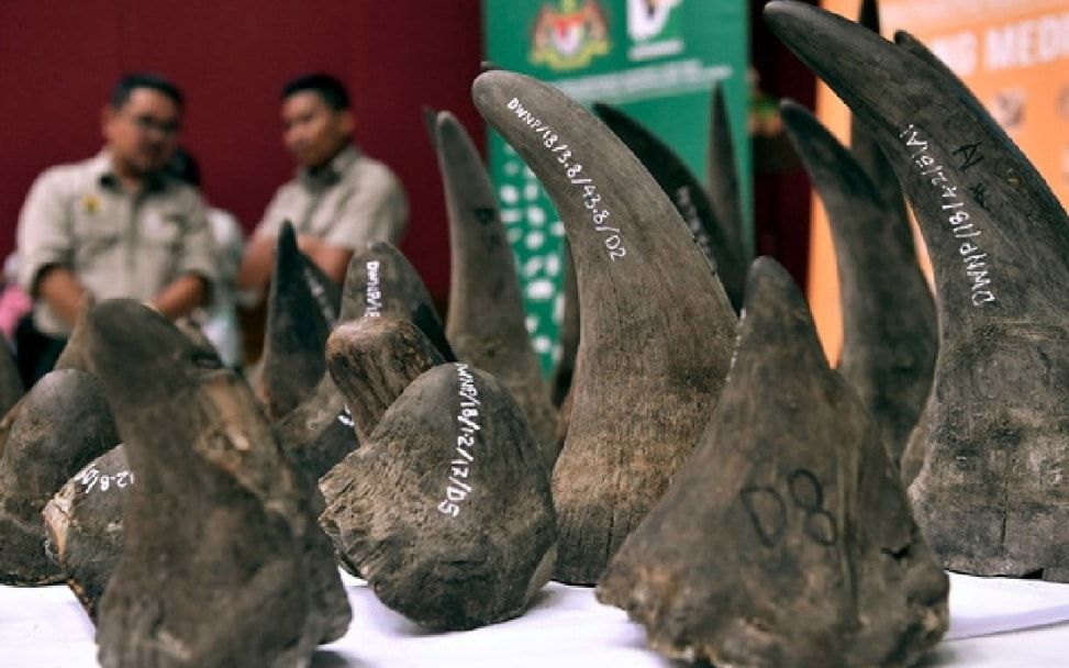 环境部16个月内开设10档案  调查KLIA野生动物走私活动