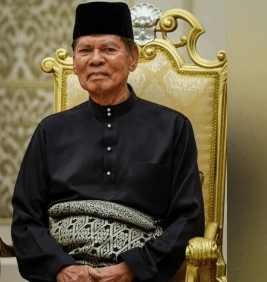 பினாங்கு மாநில ஒன்பதாவது ஆளுநராக துன் ரம்லி ஙா தாலிப் பொறுப்பேற்கிறார்