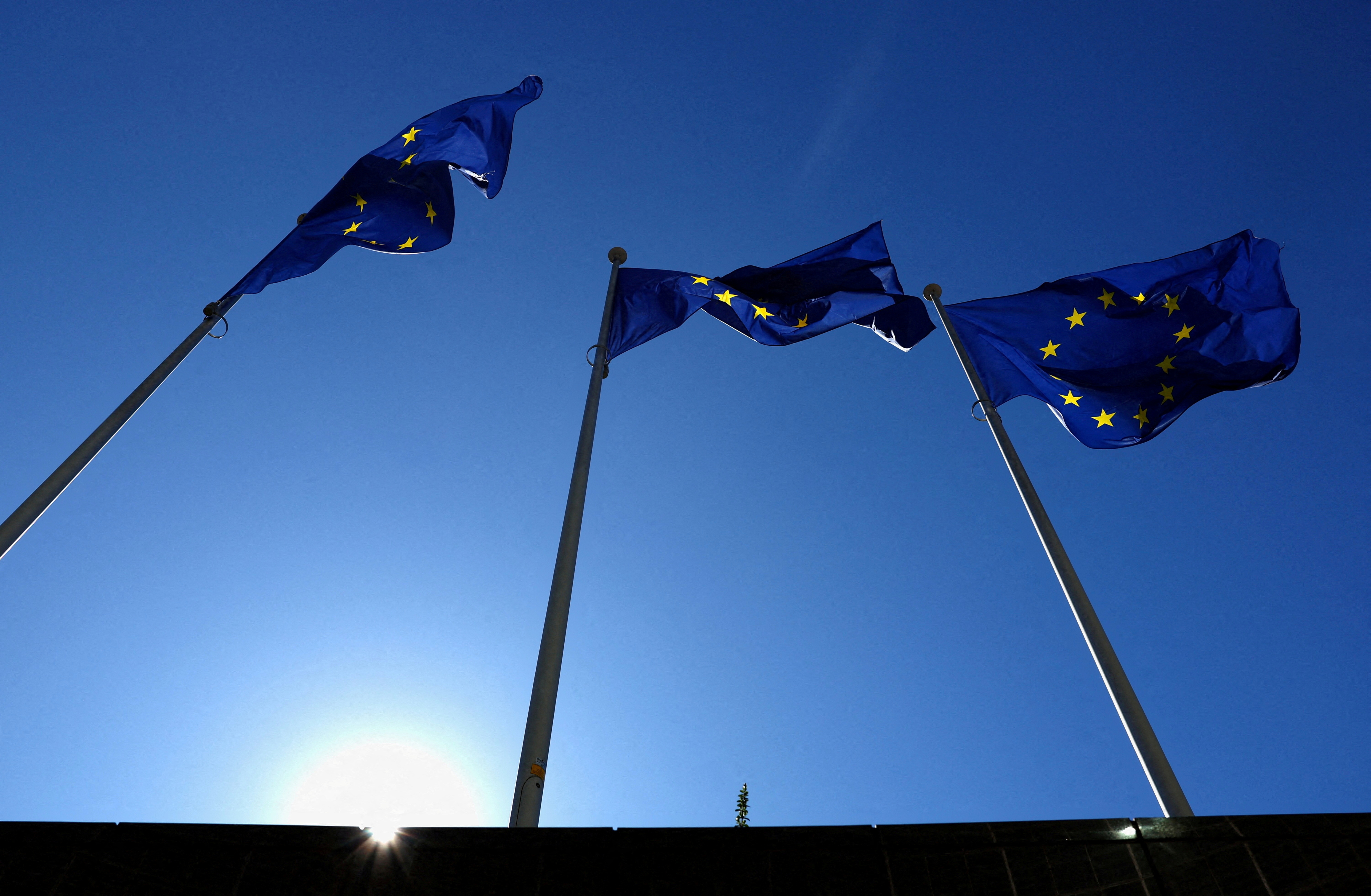 EU eases state aid rules to boost green projects, cut carbon footprint