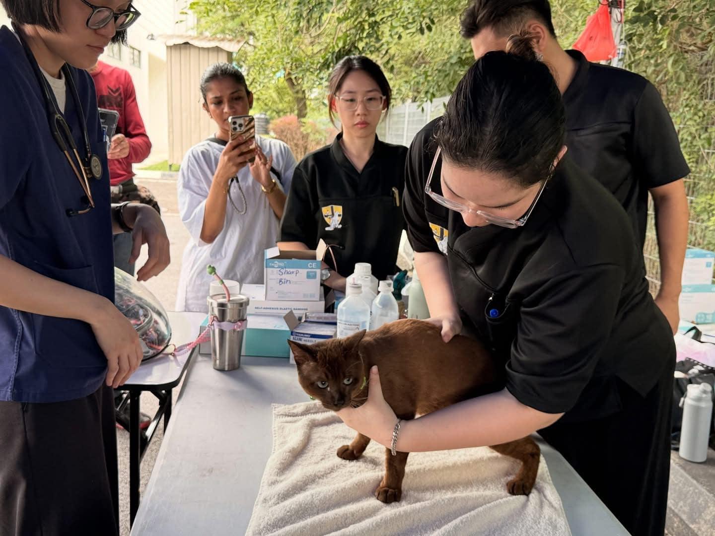 SAFM beri rawatan, makanan percuma untuk haiwan terkesan kebakaran