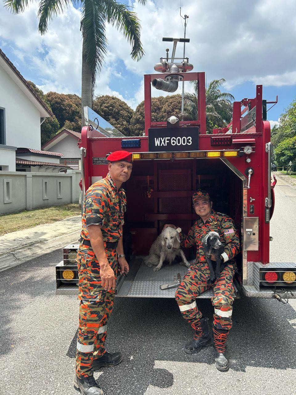 【天然气管爆炸】两动物协会加入救援行列  免费寄养一周·救援受伤毛孩