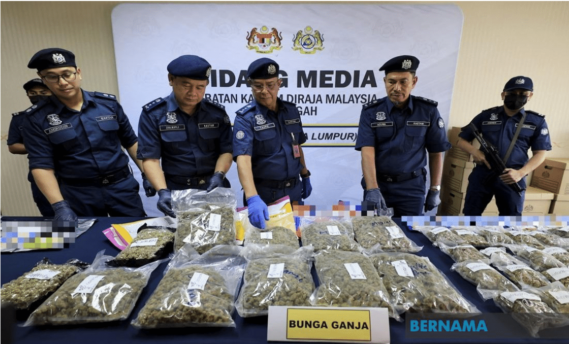 大麻藏食品包装闯关失败 关税局起获总值2057万大麻