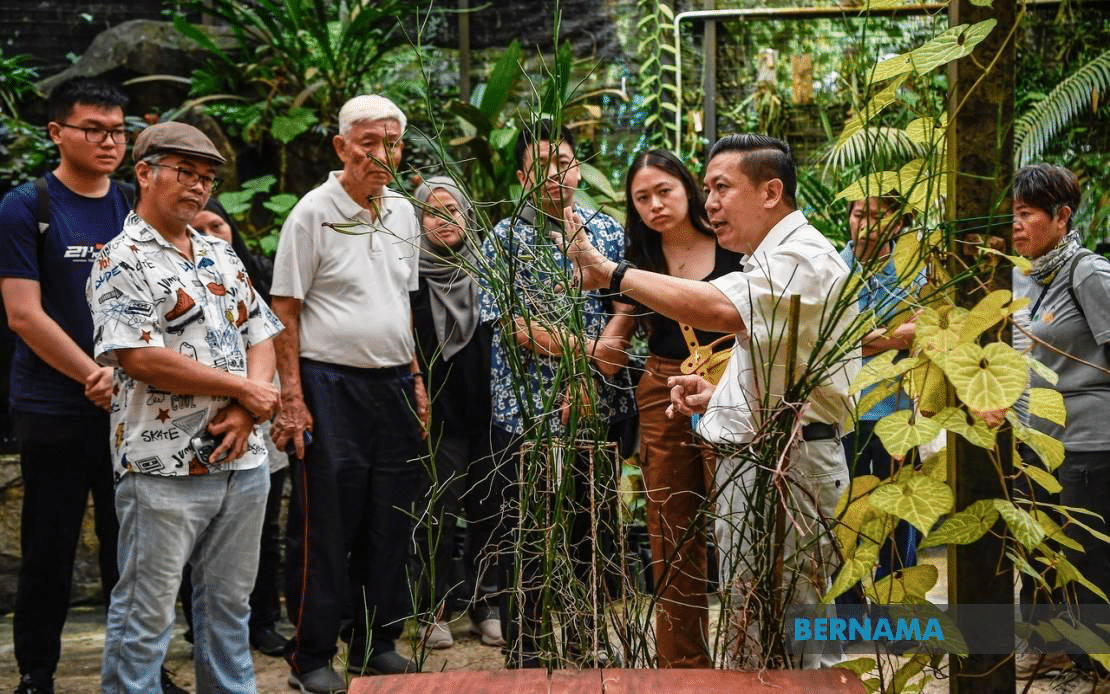 FRIM celebrates 40 years of leadership in tropical forestry research