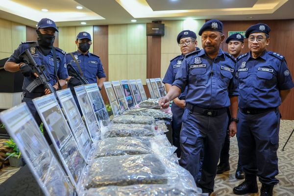 关税局瓦解KLIA走私活动 充公市值逾140万大麻花