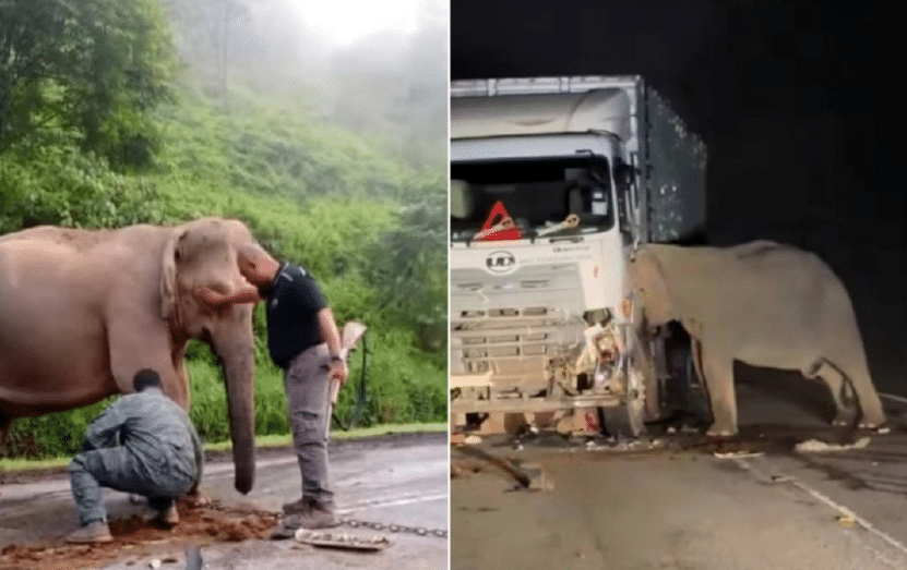 அனைத்து புதிய சாலைகள் மற்றும் நெடுஞ்சாலைகளிலும் சுரங்கப்பாதைகள் ஏற்படுத்தப்படும்