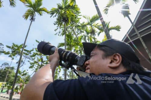 Aktiviti fotografi di Hutan Simpan Kota Damansara dibenarkan, patuhi peraturan