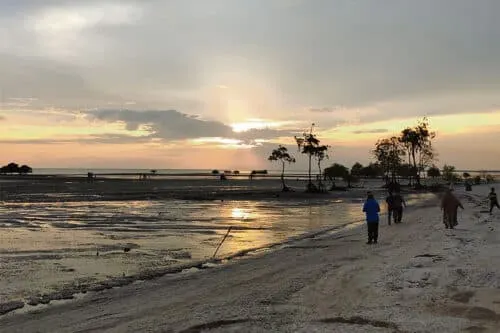 Cuaca panas jejas bekalan air sawah, risiko hasil padi turun
