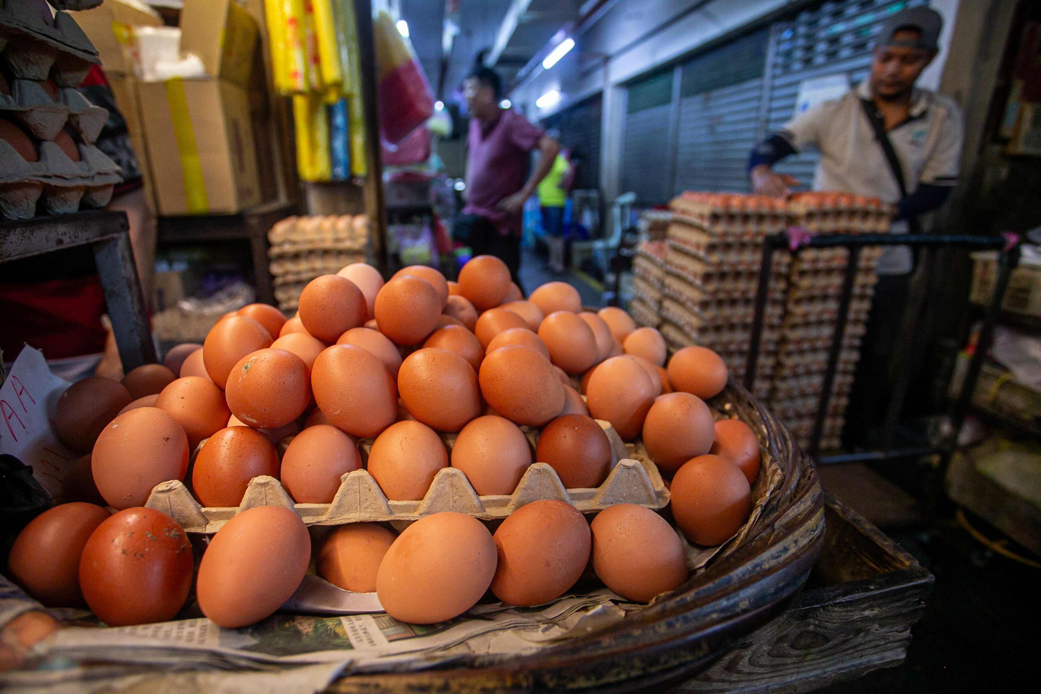 Reduced subsidy on eggs not affecting supply: Mat Sabu