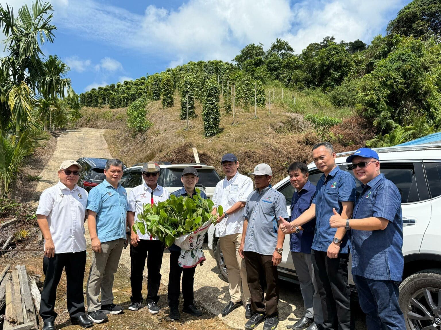 大马胡椒出口额增长24%  陈泓缣：广受日韩中欧市场欢迎