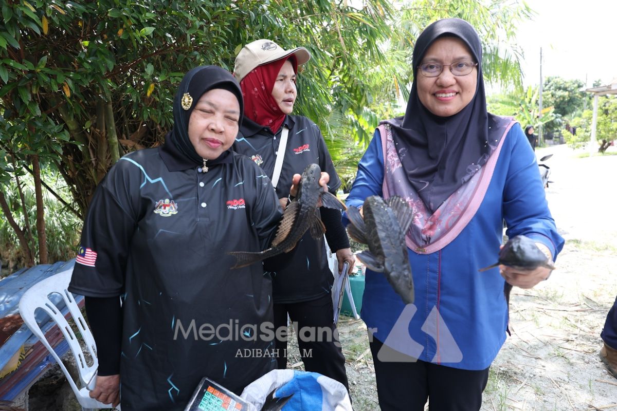 Program buru ikan bandaraya diteruskan Jun, lebih banyak sungai disasar