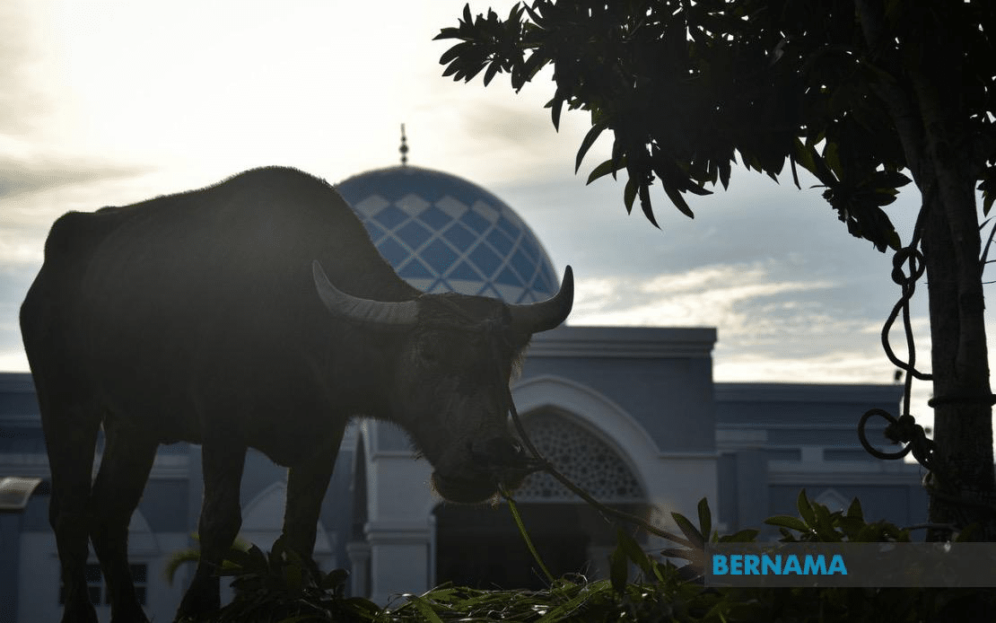 Hari Raya Aidiladha likely to fall on June 6