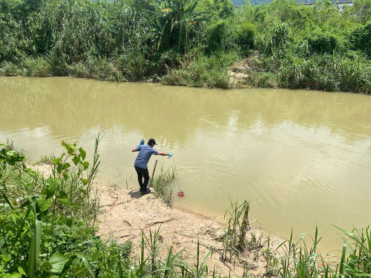 冷岳河附近非法养牛  嘉玛丽雅：调查涉事单位