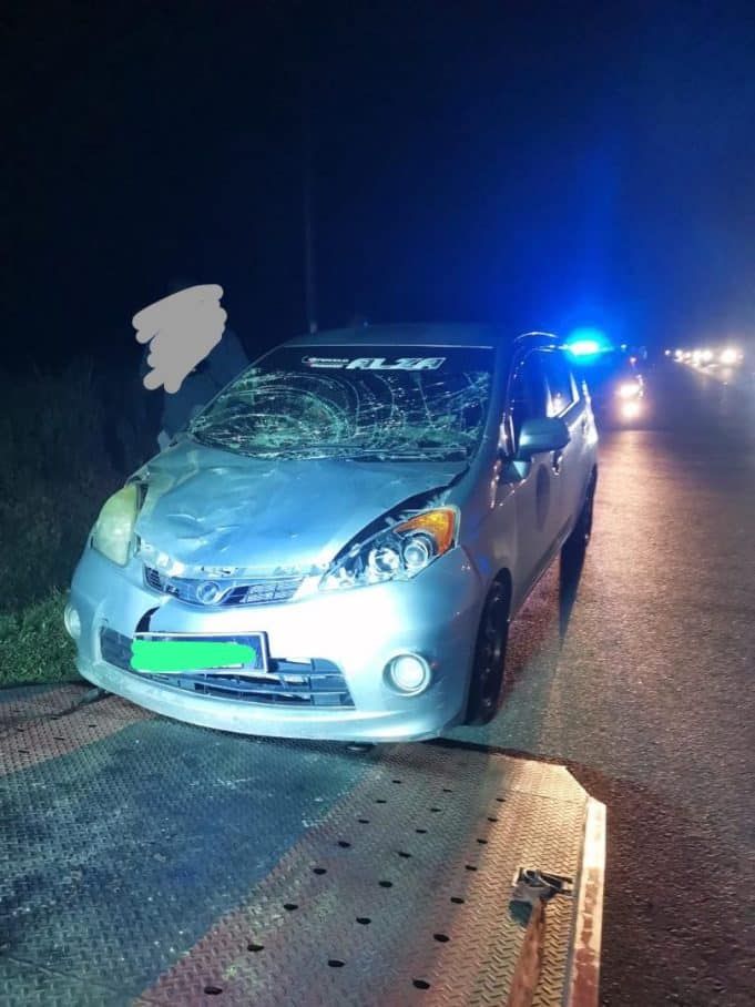 晚上驾车突遇4大象过马路 夫妇轿车车头不慎撞毁