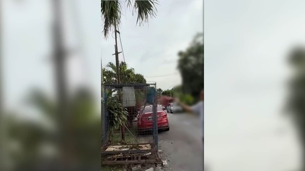 涉嫌向笼内猴子喷漆 男子落网协助调查