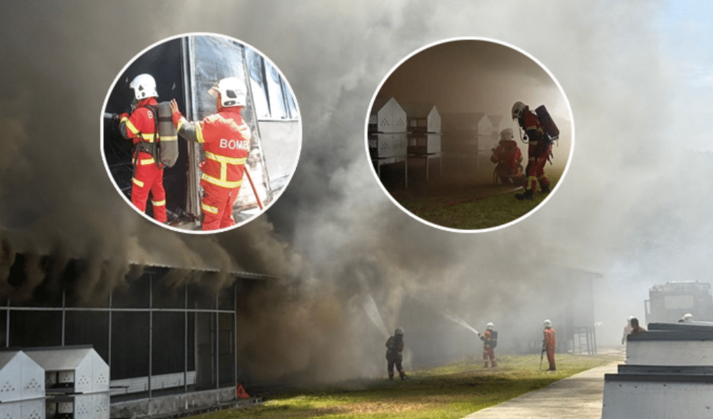 கோழி பண்ணை தீ விபத்தில் 20,000 கோழிகள் பலியாகின