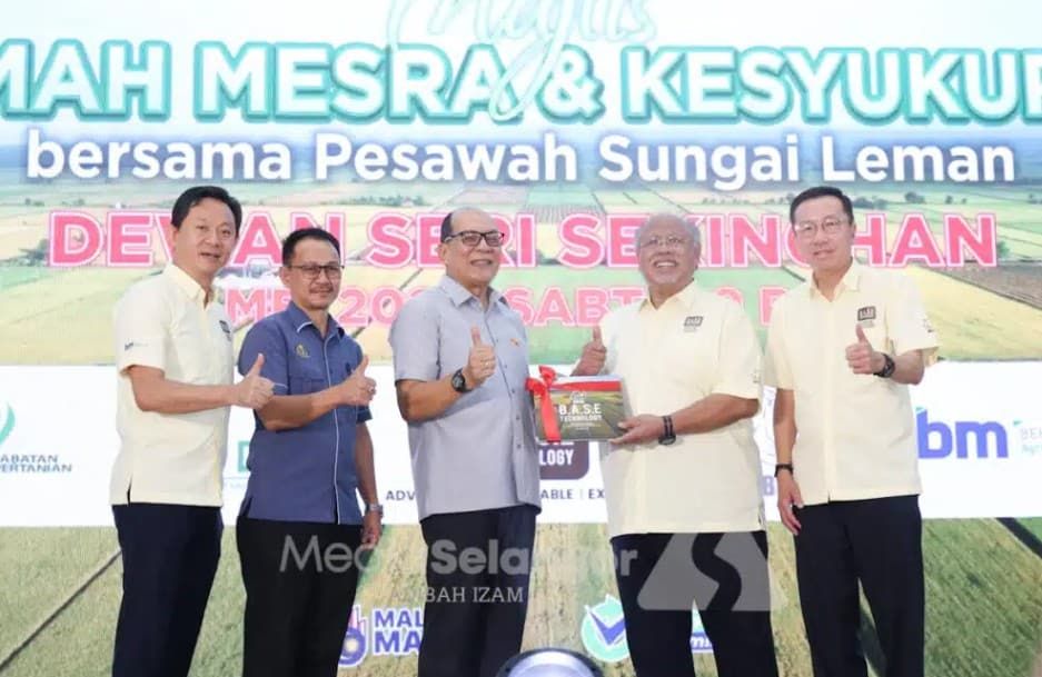 积极采用优质肥料与新技术 提高雪州稻米产量