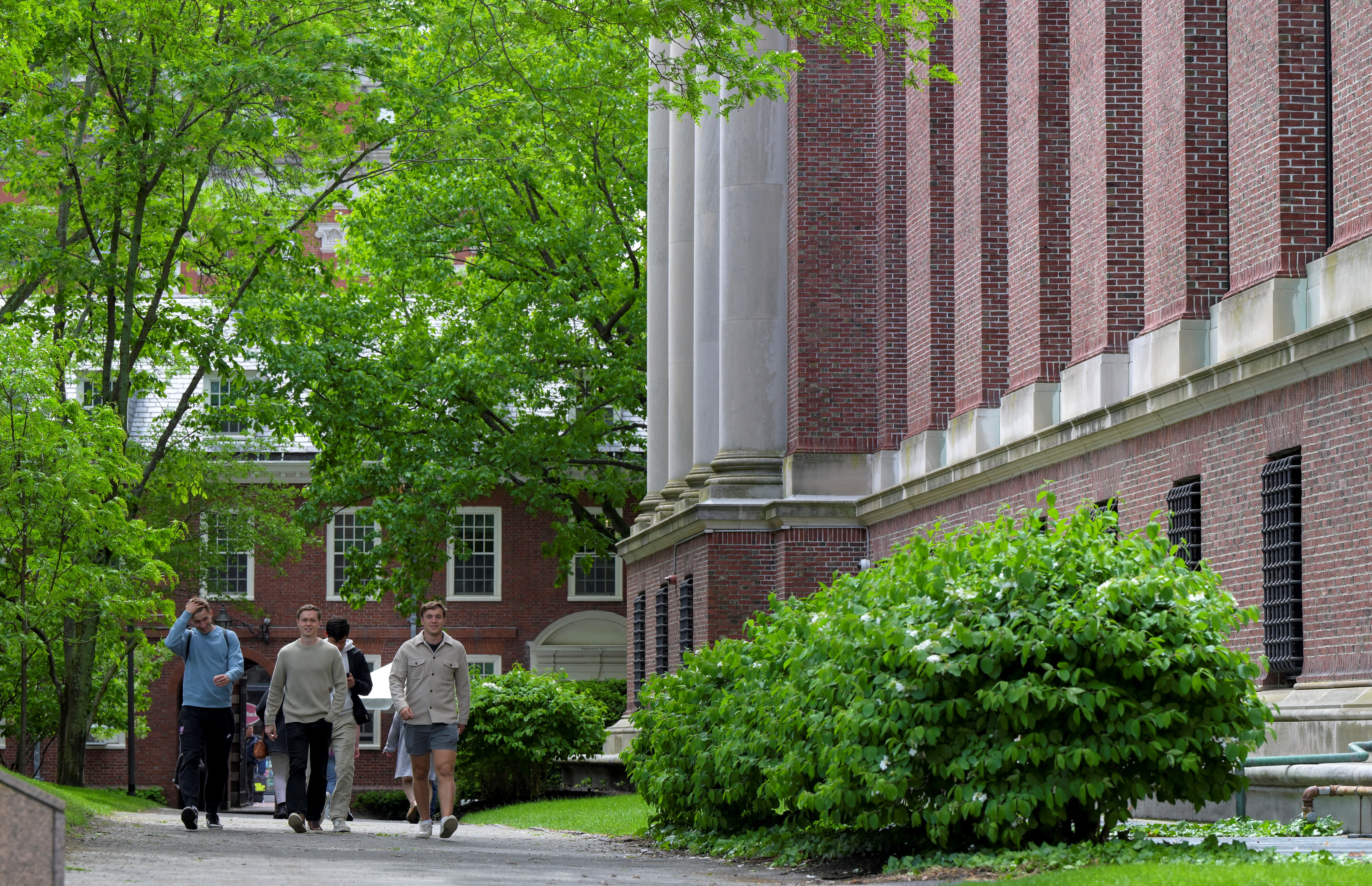 Trump administration halts scheduling of new student visa appointments