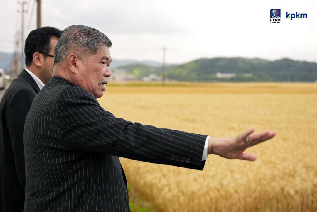 末沙布：马日会谈加强农业双边关系