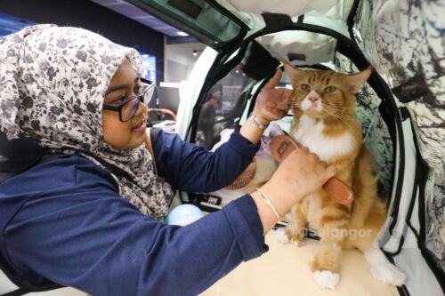 Belanjawan 2027: Pelepasan cukai RM2,500 diperluas untuk penjagaan haiwan peliharaan