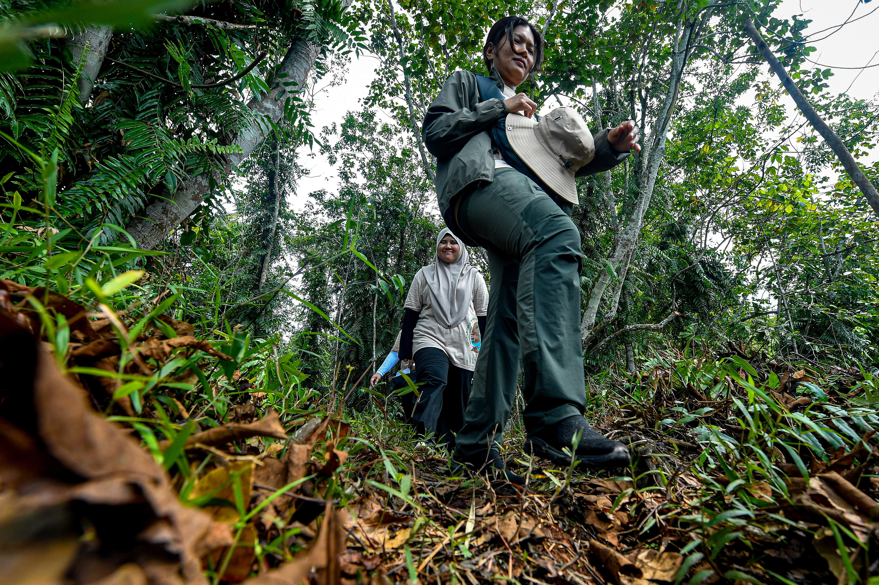 Raja Musa Forest Reserve hailed as regional model for peatland restoration