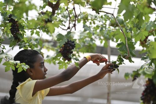 ‘Extraordinary response for VSY2025 agrotourism products’
