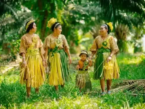 大马放眼吸引460万印尼游客  大使：旅游年规划320大活动