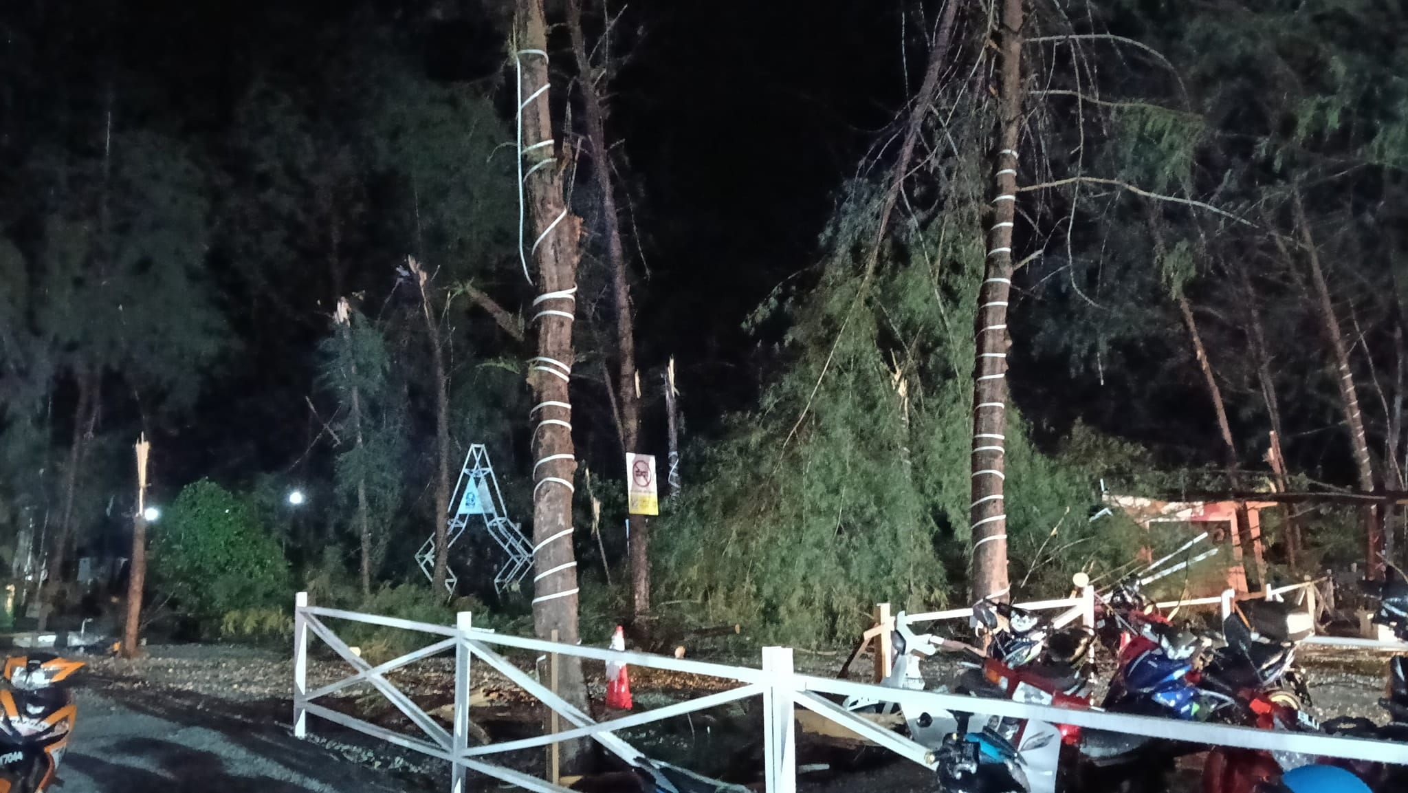 与家人到海滩休闲天降横祸  少年被大树砸中就医