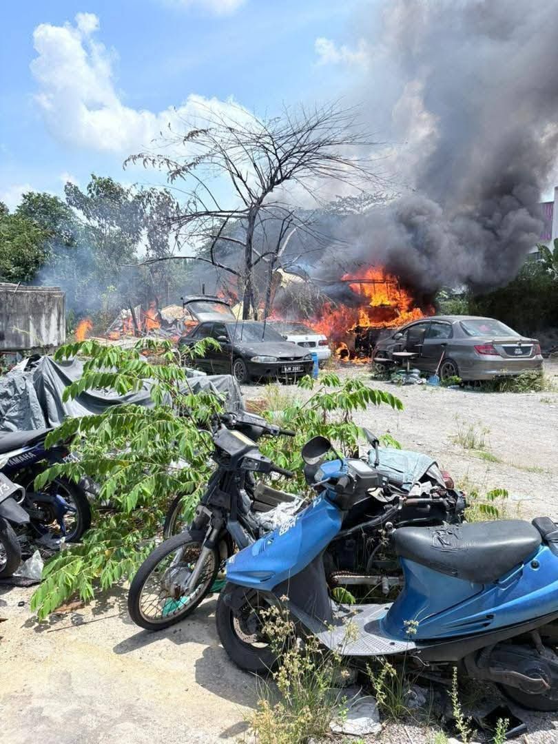 羊棚失火烧死19羊 附近4车也殃及